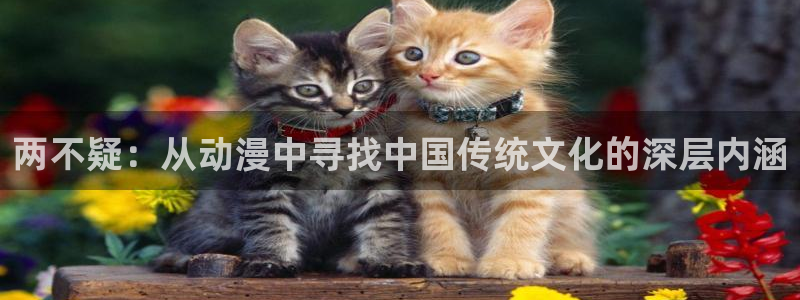 51动漫大全动漫免费今日